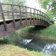 img_2782.jpg