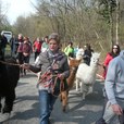 p1280890-jpg