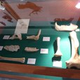 p1290058-jpg