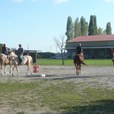 p1290747-jpg
