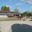 p1290751-jpg