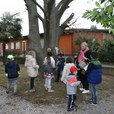img_2795-jpg