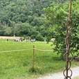 img_6913-jpg img_6913-jpg