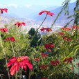 bhutan-200.jpg