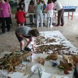 foto01