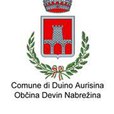 comuneduinoaurisina-jpg