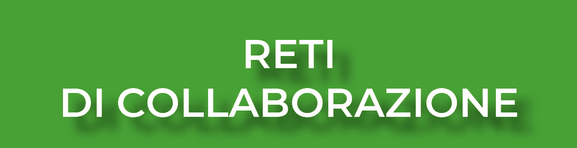 RETI COLLAB - IRSE4.jpg