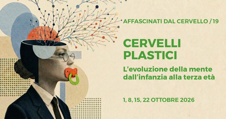 Cervelli plastici