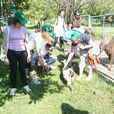 foto19 foto19