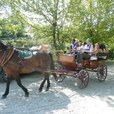 foto20