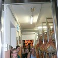 bagatto01.jpg