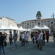 foto13 foto13
