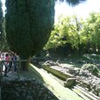 p1280265-jpg