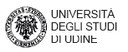 Università degli Studi di Udine