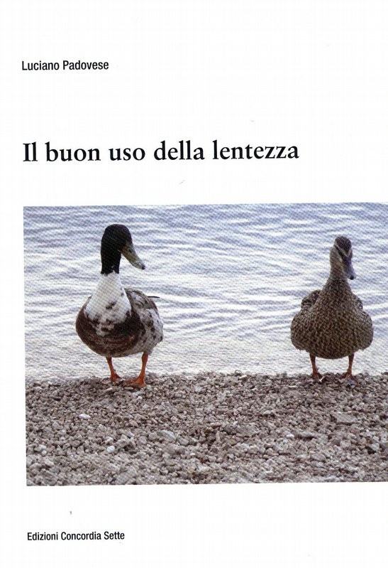 Il buon uso della lentezza