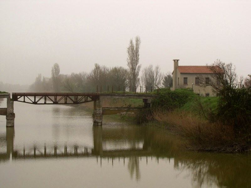 Il Delta del Po Reportage