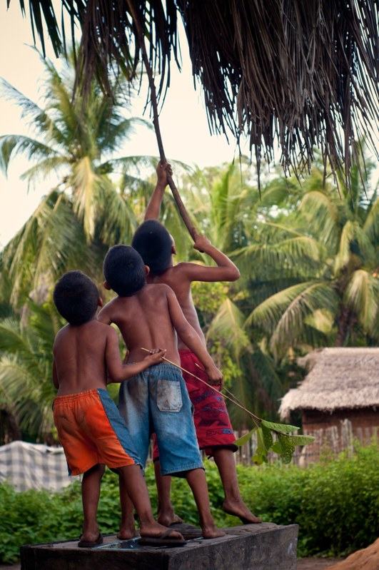 Parauà. Crescere in Amazzonia