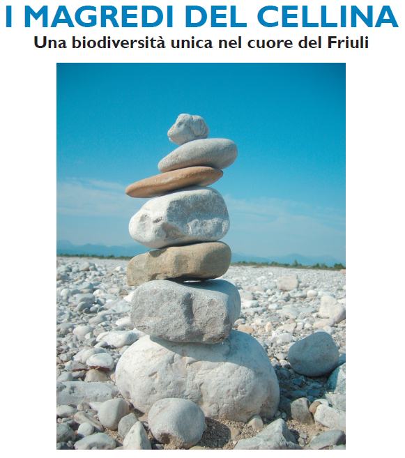 I Magredi del Cellina