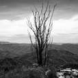 36-img_7814b.jpg
