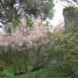 IMG_0369.JPG
