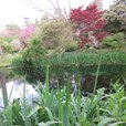 IMG_0374.JPG