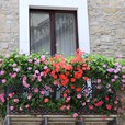 basilicata-085.jpg