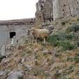 basilicata-548.jpg