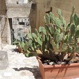 basilicata-626.jpg