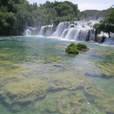 img_0781.jpg