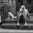 cane3-jpg